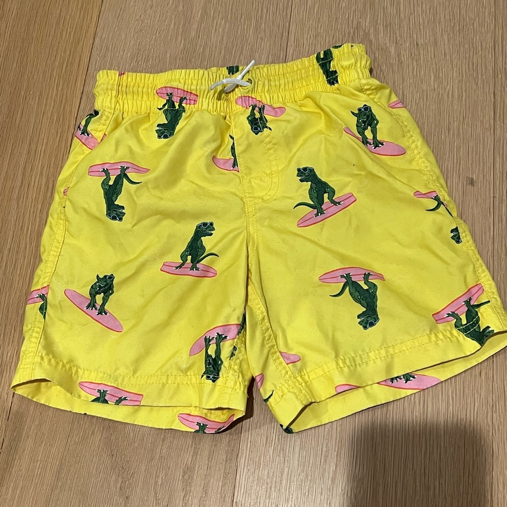Boys swim trunks t-Rex dinosaur surf M
